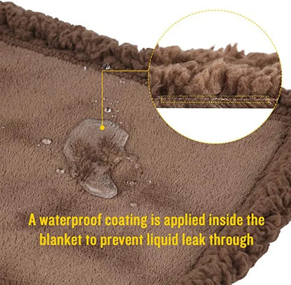 Luxury Waterproof Couple Blanket